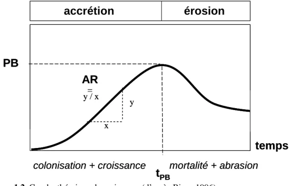 Figure 1.2. Courbe théorique de croissance (d’après Biggs 1996).  