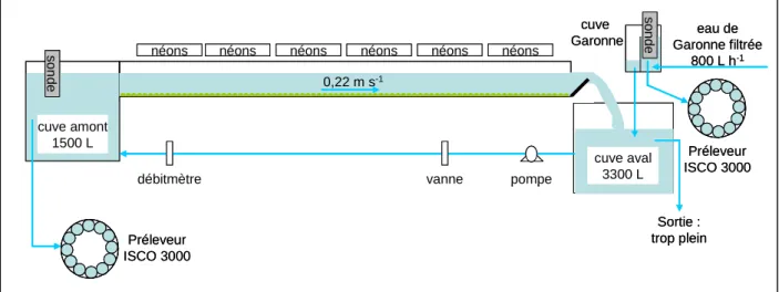 Figure 2.5.  Schéma du dispositif expérimental. 