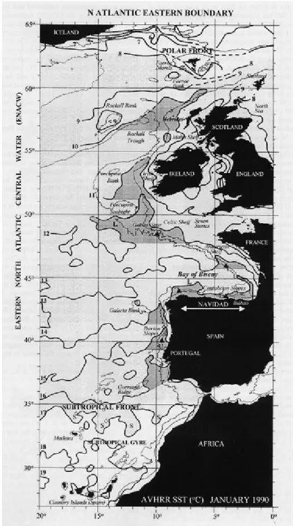 Figure D.4 (issue de Garcia-Soto et al., 2002) : carte de température de surface vue par  l’instrument AVHRR en janvier 1990