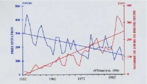 Figure 2.16 : Nombre de jours de brumes sèches et précipitations annuelles mesurées à la  station de Gao, Mali, de1952 à 1984 (N’Tchayi et al., 1994)