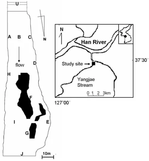 Fig. 1-1. The sample sites located in the Yangjae Stream in the Han River, Korea. 