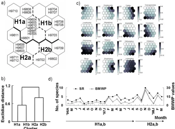 Fig. 1-5. Patterning of temporal changes in macroinvertebrate communities collected at site H  from April 1996 to March 1998: a) clustering of the samples in temporal variation, b) Euclidian  distance  between  clusters,  c)  distribution  patterns  of  sp