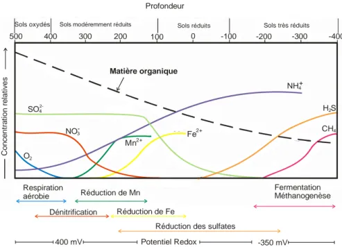 Figure 2-3: Séquence chronologique des réactions de réduction attendues en zone humide   (Source Reddy et D’Angelo, 1994)