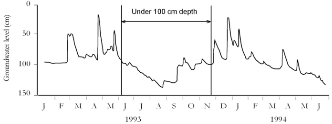 Figure 3.1. Variations in ground water level during the potato study. 