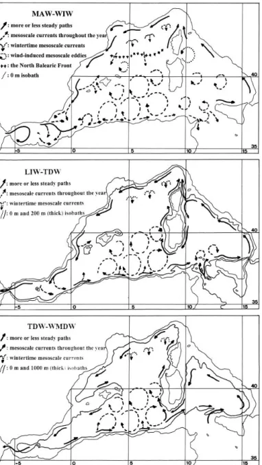 Fig. 2.2 – La Méditerranée occidentale : circulation des principales masses d’eau. Extrait de Millot [1999]