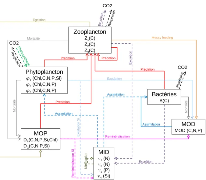 Fig. 5.1 – Interactions entre les différents groupes fonctionnels dans le modèle Eco3M-MED