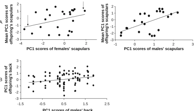 Fig. 3 Parent–offspring regressions in plumage coloration in the a scapulars and in the b back