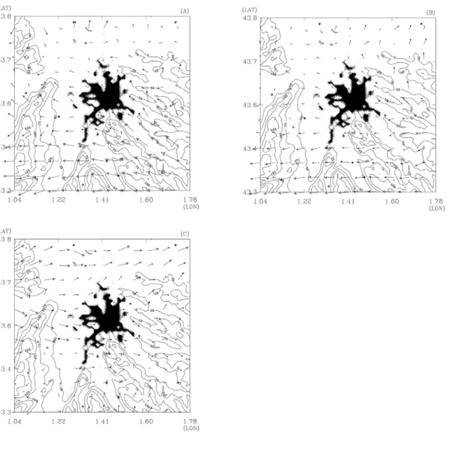 Figure 2: Horizontal wind field velocity and module modelled by M3 over plotted to the relief in meters above city level. 