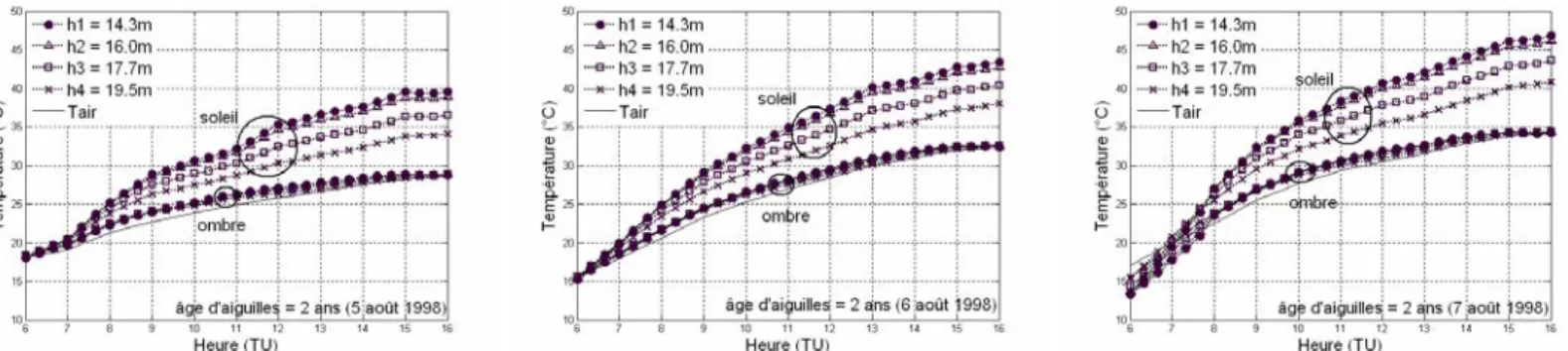 Figure 3.18 : Température des aiguilles de 2 ans à différents niveaux dans la canopée pour les 5, 6 et 7 août 1998