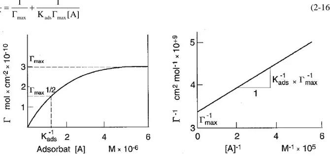 Fig. 2-10.  Représentation graphique d’isotherme de type Langmuir et sa linéarisation selon  l’équation 2-16 (d'après Sigg et al., 2000)