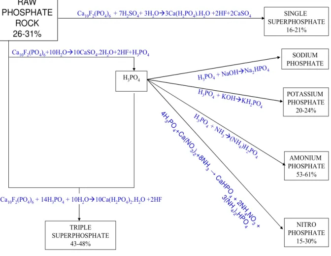 Figure 4. Fertilizer production from raw phosphate rocks and resulting P 2 O 5 . (Modified 