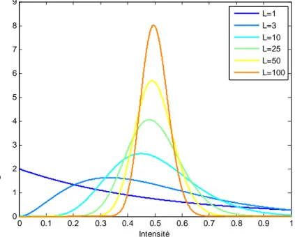 Figure 9.  Distribution du speckle en intensité pour une image L-vues de réflectivité  R=0,5 