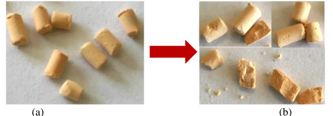 Figure II.13. Photographies des barreaux de zéolithes DAZ : (a) original ; (b) après  saturation avec toluène et 10 heures d´irradiation à 172 nm