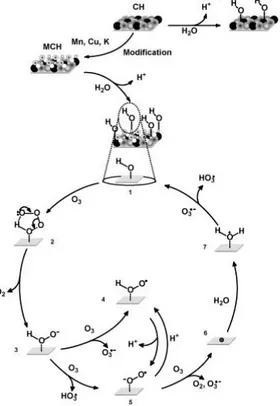 Figure I.18. Mécanisme d´ozonation catalytique en présence de la céramique proposé par  Zhao et al