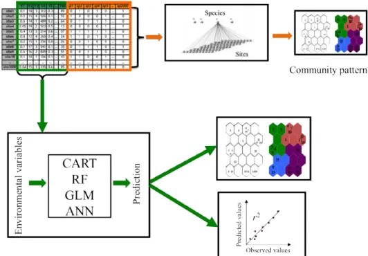 Figure 3. The schematic figure showing the general modeling processes in the studies 