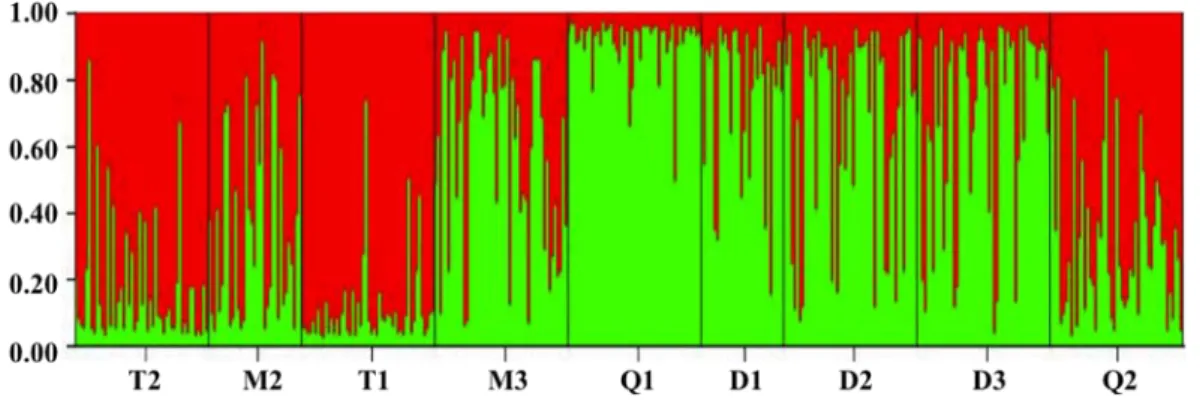 Figure 8. Assignment of individuals of G. rarus into two clusters (C1-Red color and  C2-Green color) using STRUCTURE