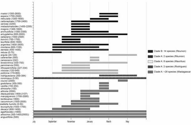 Figure 2.6 Comparison of island clades using yearly flowering periods (bars) and altitudinal occurrence (y-axis)  (included taxa contain species not present in the molecular analyses)