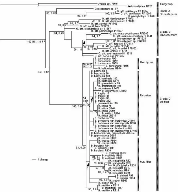 Figure 4.1 Phylogram showing 1 of 22,813 equally most parsimonious trees from the combined analysis of Matrix  1 Length 233, CI= 0.84, RI= 0.93