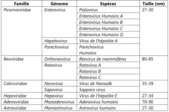 Tableau I.1.  Principaux virus entériques pathogènes pour l’homme retrouvés dans le milieu  hydrique [2]