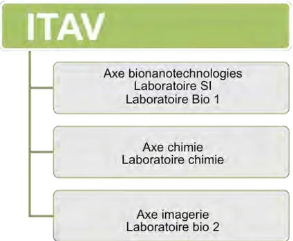 Fig. 7: Infographie des trois axes scientifiques de l’Itav et les quatre laboratoires partenaires