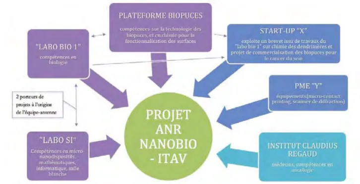 Fig. 10 : Infographie illustrant l’implication des différents partenaires dans un projet interdisciplinaire porté à  l’Itav par l’équipe-antenne dans l’axe « bionano »
