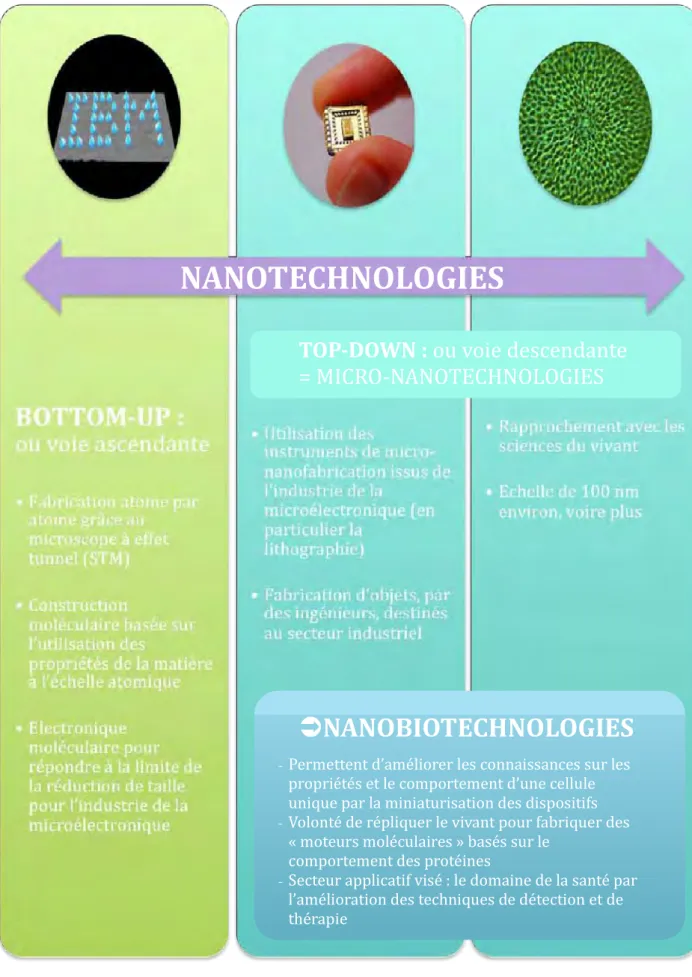 Fig.  2:  Infographie  illustrant  le  champ  des  nanobiotechnologies  à  l’intérieur  du  champ  plus  large  des  nanotechnologies