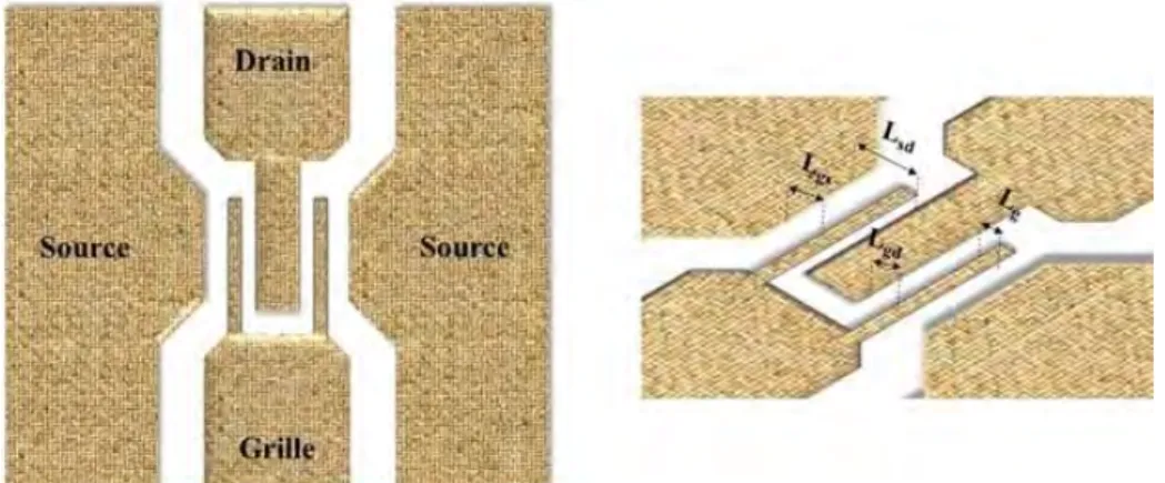 Figure I. 9  : Représentation schématique d'un transistor en configurant source commune  coplanaire.