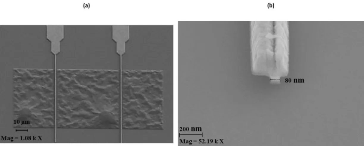 Figure II. 9  : (a) Image MEB d’une vue d'ensemble de la grille de transistor après lift-off, (b)  Image MEB de la grille en T avec une longueur de grille de 80 nm.