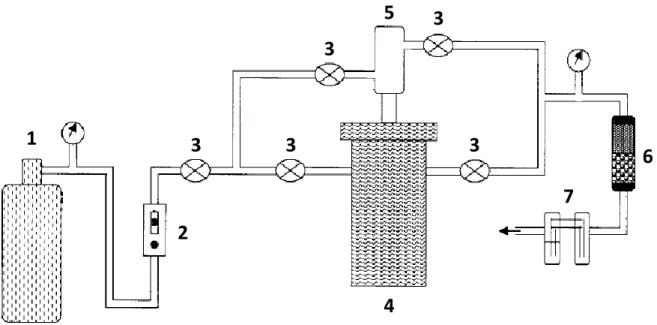 Figure II-2 : Schéma du circuit de gaz 
