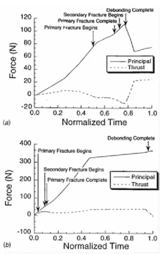 Fig. 1.1.8: Verification of the numerical model with experimental results for orthogonal cutting of  Gr/Ep (α=10°, γ=17° (a) principal cutting force (b) thrust force [Arola et al., 2002]