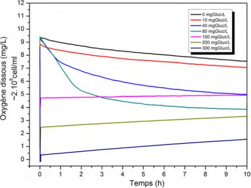 Figure 2.7 – Effet de la concentration en Glucose sur la consommation de l’oxygène dissous (2.10 8 cell/mL)