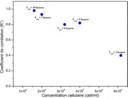 Figure 3.10 – Effet de la concentration bactérienne sur la corrélation entre activité respiratoire et concentration en carbone