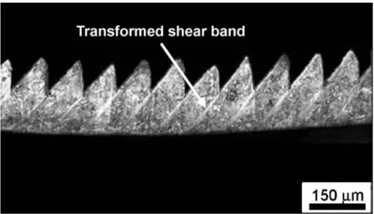Fig. 1.6 Shear bands causing serrated chips observed in AISI 1045 steel machined at a cutting velocity of 