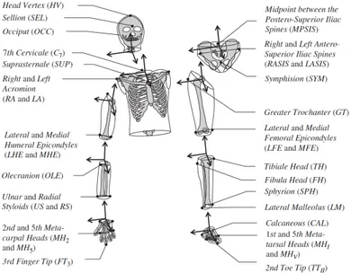 Figure 1.3: Locations of anatomical landmarks selected by [McConville 1980, Young 1983] and orientations of coordinate systems attached to these landmarks.