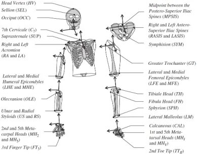 Figure 1.3: Locations of anatomical landmarks selected by [McConville 1980, Young 1983] and orientations of coordinate systems attached to these landmarks.
