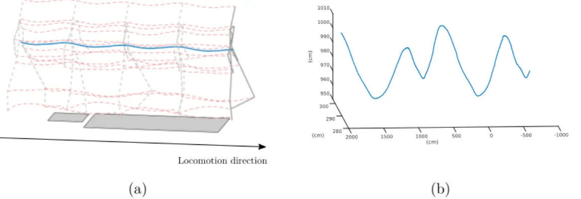 Figure 1.6: (a). 3D plots of the CoMs of each segment (in dashed red) and of the global CoM (in blue) during a walking movement on horizontal ground