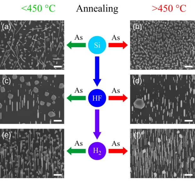 Figure 4.8 – Surface preparations and nanowire growths. (a) to (f) SEM images of InAs nanowires grown on silicon (111) wafers using the same growth conditions but different  sur-face preparations