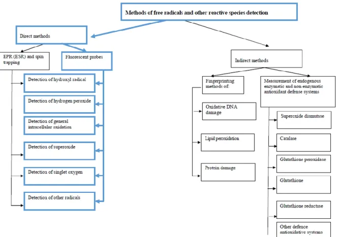 Figure 5 Diagramme présentant les méthodes actuelles de détection des ROS, d'après [9]