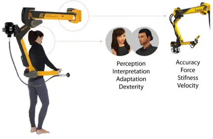 Figure 4.1: Illustration of some of the human-robot complementary skills.