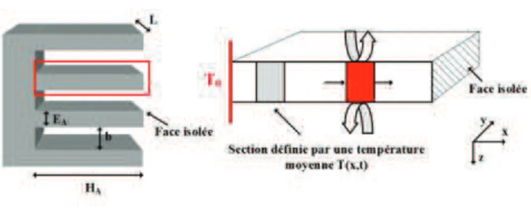 Figure 25: Schéma représentant une section d'ailette et les échanges thermiques associés 