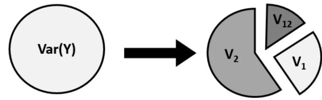 Figure 1.8: Output variance decomposition for model of two variables representing the concept of the Sobol’s method for the derivation of the sensitivity indexes.