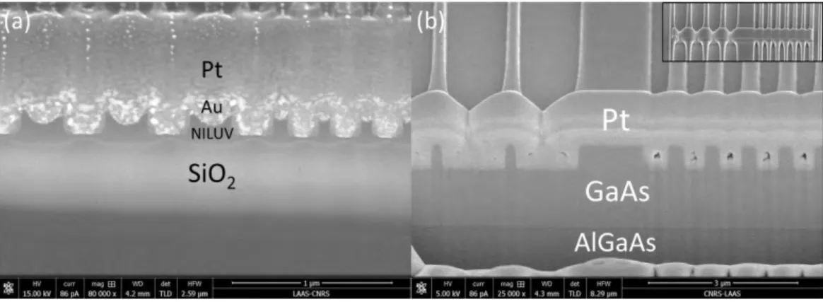 Figure 46 : Exemple d’images FIB d’échantillons recouverts de platine et gravés localement pour observer l’état des couches 