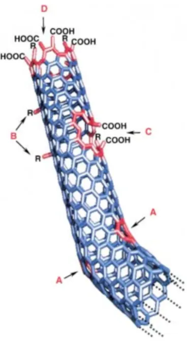 Figure 1.7: Defects of CNTs[30]: A) five- or seven-membered rings in the C framework, instead of the normal  six-membered ring B) sp 3 -hybridized  de-fects, C) C framework damaged by  ox-idative conditions, and D) open end of CNT, terminated with -COOH groups.