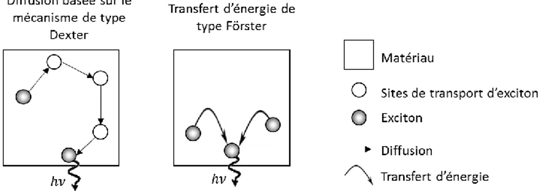 Figure 1-26 : Représentation des différents types de transferts TTA : Dexter et Förster 