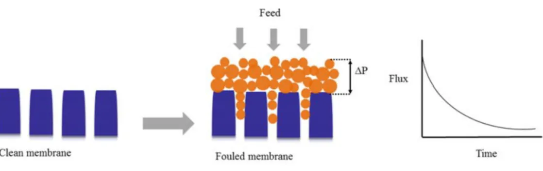 Fig. 7: Fouling mechanism in membranes. 