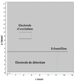 Figure II-25 : Géométrie de la PEA ORE générée sur COMSOL© 