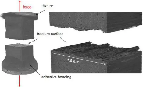 Figure 1.17  Scan 3D obtenu par tomographie à rayons X sur une éprouvette carbone- carbone-époxyde ( Kalafat et al