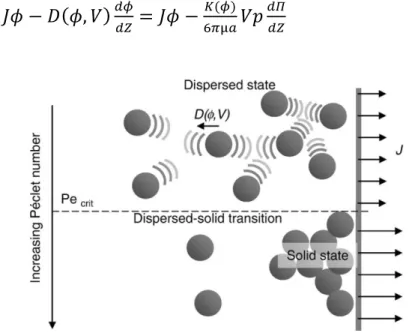 Figure 1.3: Schematic  representation of  colloidal surface interactions, phase transition,  osmotic pressure and critical operating conditions for concentration processes [8]