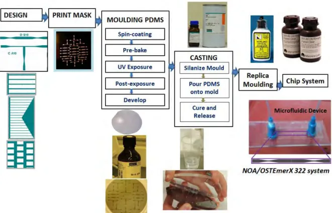 Figure  2.3:  Fabrication  procedure  of  microfluidic  devices  from  PDMS  mould  with  Soft  Lithographic  and  replica  moulding  techniques  using  polymeric  materials  (NOA61  and  OSTEmerX 322 crystal)