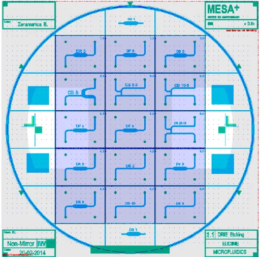 Figure 2.4: Chips designs for filtration experiments mimicking membrane processes for  studying bacterial streamer formation phenomena